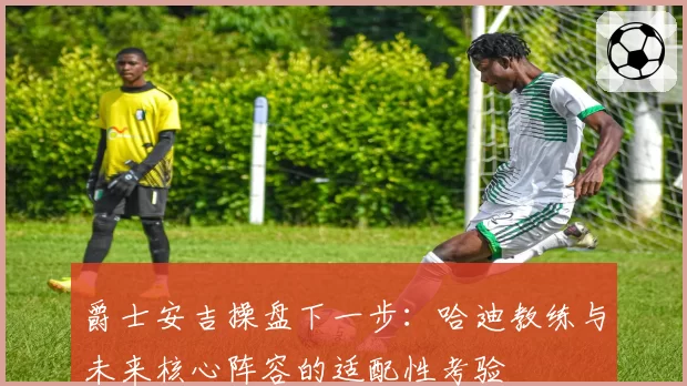 爵士安吉操盘下一步:哈迪教练与未来核心阵容的适配性考验