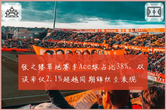 张之臻草地赛季Ace球占比38%，双误率仅2.1%超越同期锦织圭表现